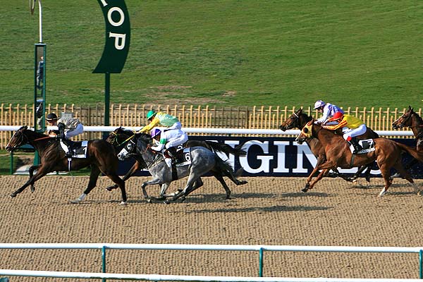 Arrivée quinté pmu PRIX DU BOIS DE BONNET à CHANTILLY