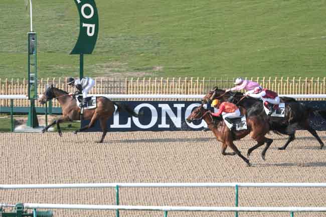 Arrivée quinté pmu PRIX D'ALIX à CHANTILLY