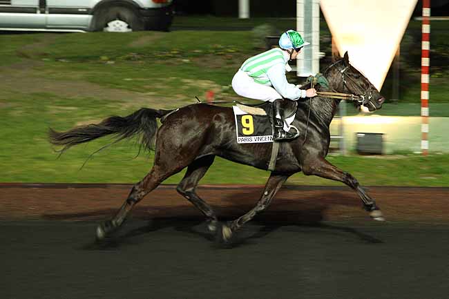 Arrivée quinté pmu PRIX LETO à PARIS-VINCENNES