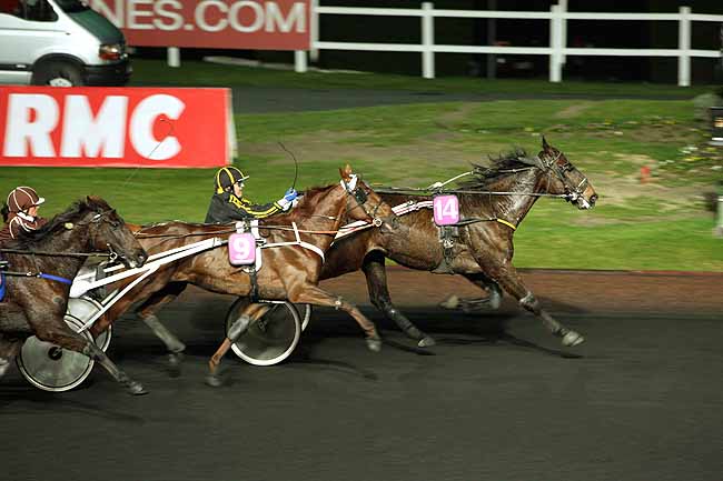 Arrivée quinté pmu PRIX DRESDA à PARIS-VINCENNES