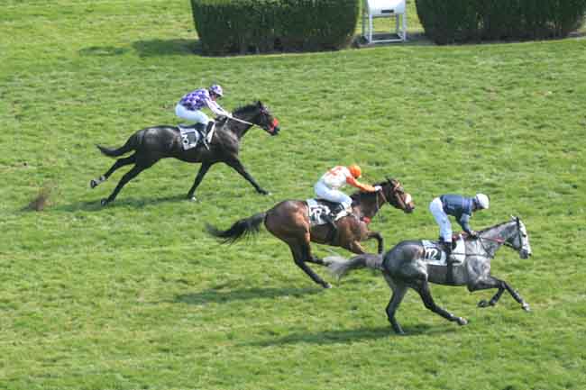 Arrivée quinté pmu PRIX LUTTEUR III à AUTEUIL