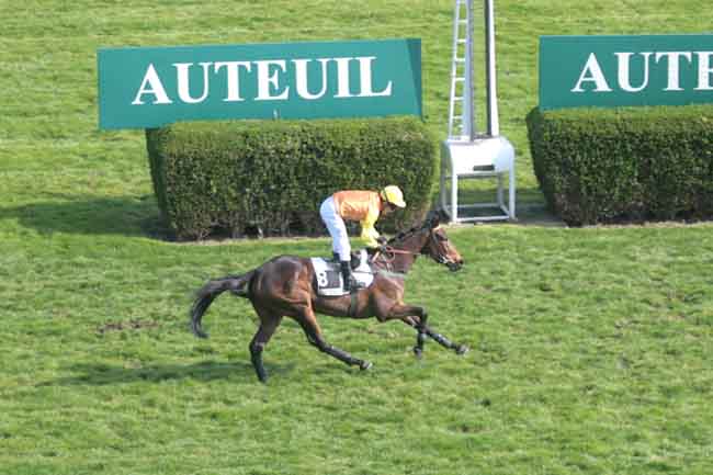 Arrivée quinté pmu PRIX ANDRE GIRARD à AUTEUIL