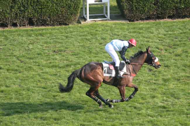 Arrivée quinté pmu PRIX MITSOUKO III à AUTEUIL