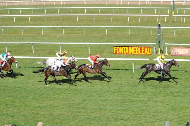 Arrivée quinté pmu PRIX DE LA MALMONTAGNE à FONTAINEBLEAU