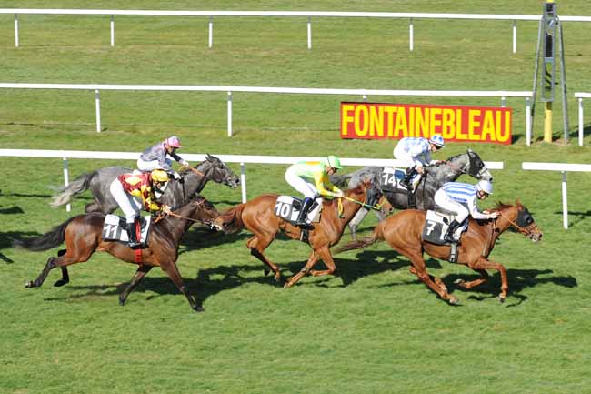 Arrivée quinté pmu PRIX DES FRENES à FONTAINEBLEAU