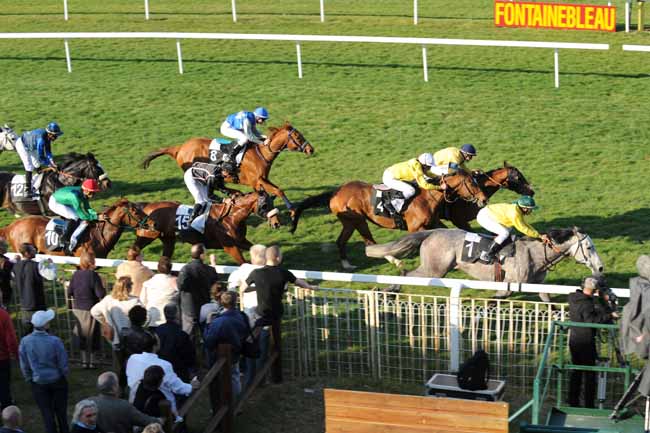 Arrivée quinté pmu PRIX DE LA DAME JOUANNE à FONTAINEBLEAU