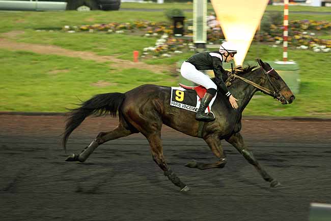 Arrivée quinté pmu PRIX MONOCEROS à PARIS-VINCENNES