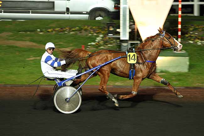 Arrivée quinté pmu PRIX LUCIA à PARIS-VINCENNES