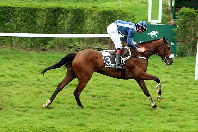 Arrivée quinté pmu PRIX DU FINISTERE à ENGHIEN