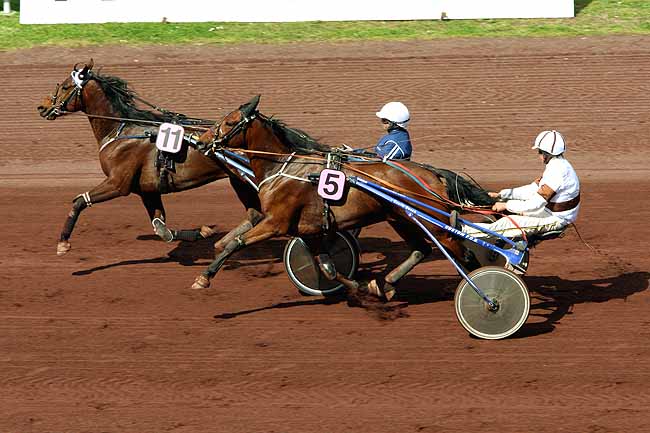 Arrivée quinté pmu PRIX ANDRE GAGER à LYON LA SOIE