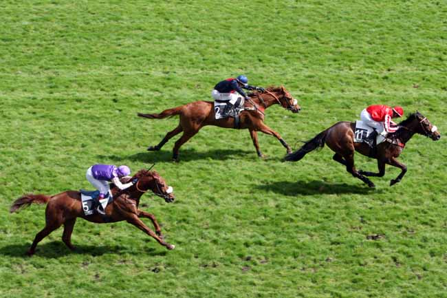 Arrivée quinté pmu PRIX D'OLIVET à AUTEUIL
