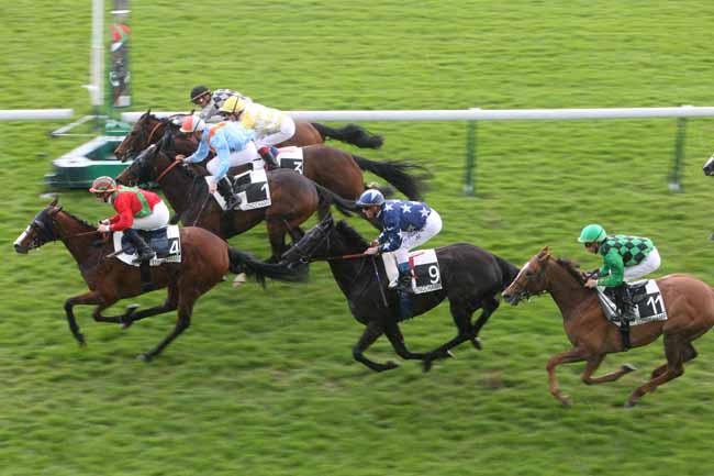 Arrivée quinté pmu PRIX DES NENUPHARS à LONGCHAMP