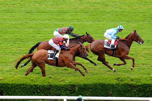 Arrivée quinté pmu PRIX PENELOPE à SAINT-CLOUD