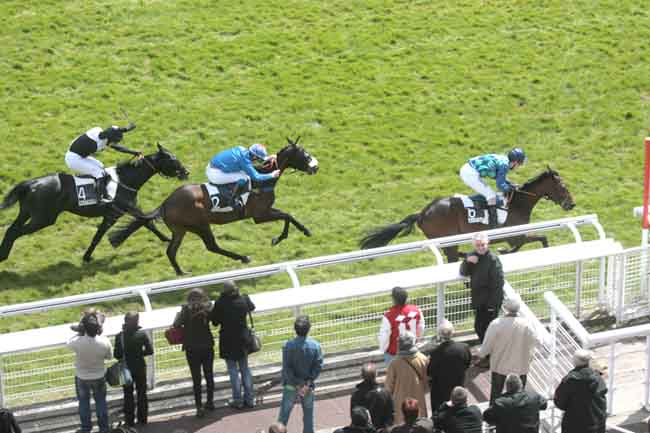 Arrivée quinté pmu PRIX SICIE à AUTEUIL