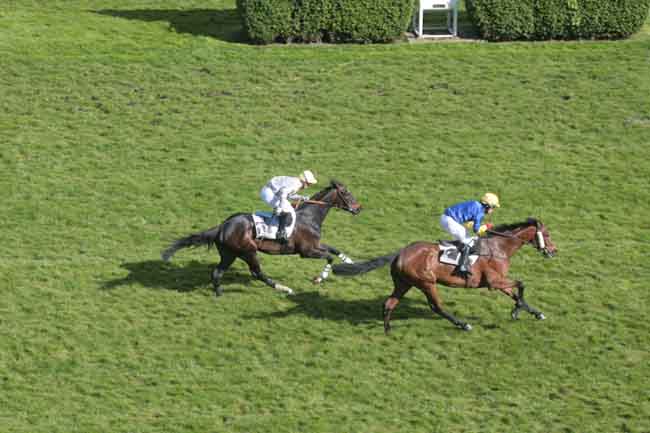 Arrivée quinté pmu PRIX QUO VADIS à AUTEUIL