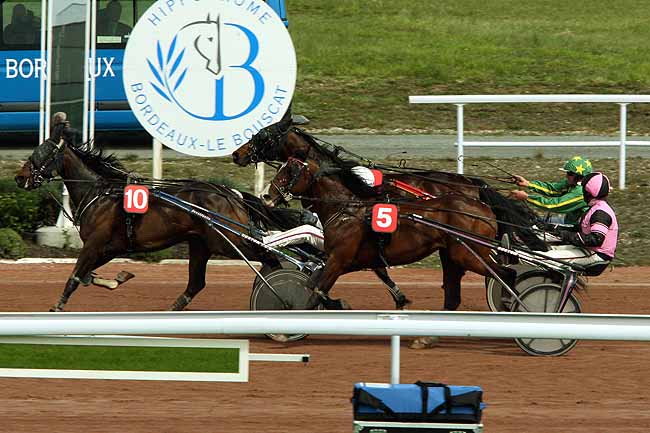 Arrivée quinté pmu PRIX DE REIMS à BORDEAUX-LE BOUSCAT