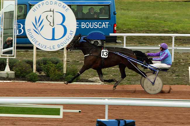 Arrivée quinté pmu PRIX DE TOULOUSE à BORDEAUX-LE BOUSCAT