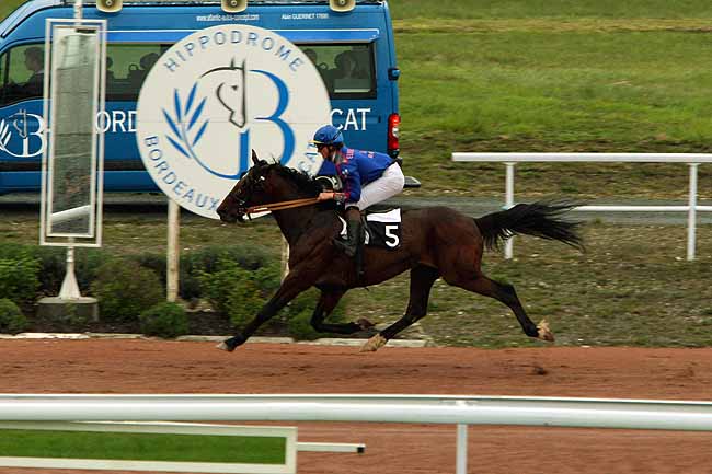 Arrivée quinté pmu PRIX DE BEAUMONT-DE-LOMAGNE à BORDEAUX-LE BOUSCAT