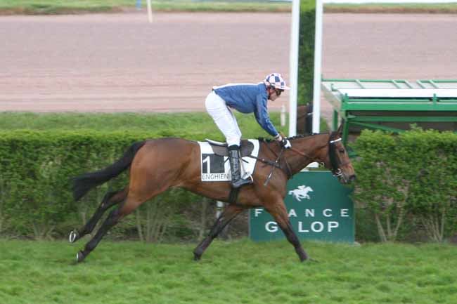 Arrivée quinté pmu PRIX D'ARTIXAGUE à ENGHIEN