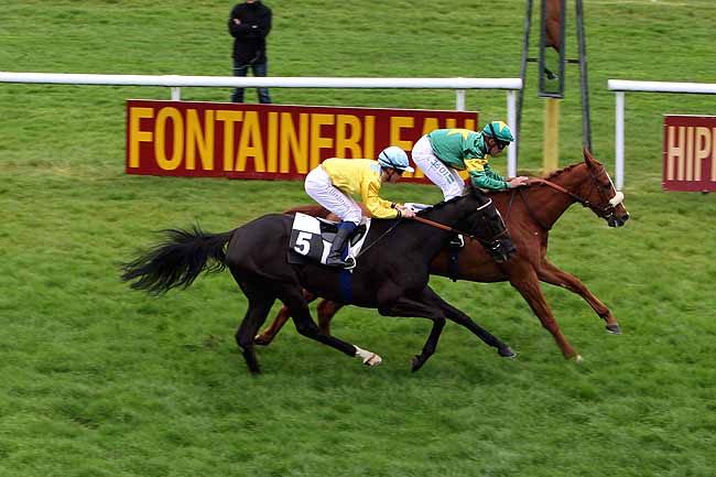 Arrivée quinté pmu PRIX DE LA FALUERE à FONTAINEBLEAU