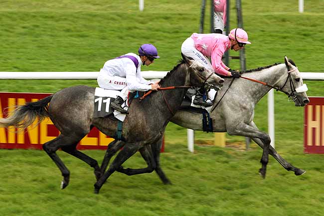 Arrivée quinté pmu PRIX DE L'ESSONNE à FONTAINEBLEAU