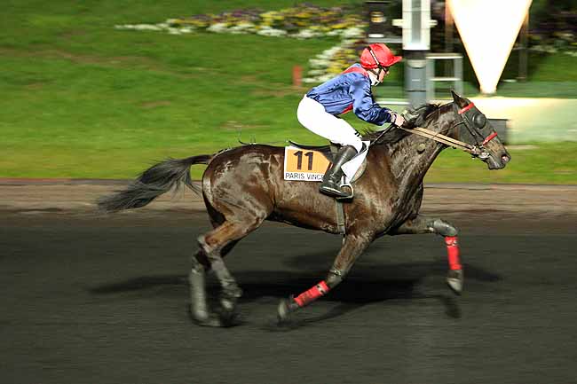 Arrivée quinté pmu PRIX ANTIGONE à PARIS-VINCENNES