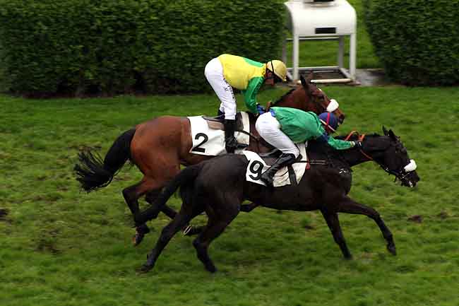 Arrivée quinté pmu PRIX INGRE à AUTEUIL