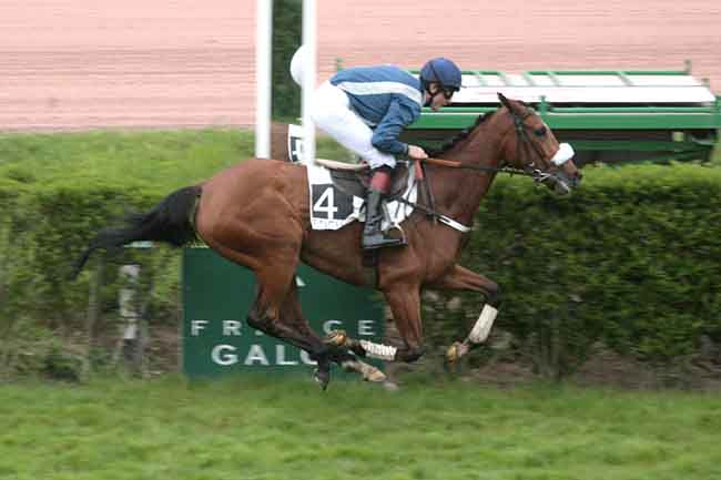 Arrivée quinté pmu PRIX NIVOLET à ENGHIEN