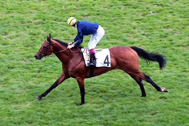 Arrivée quinté pmu PRIX D'ISSY-LES-MOULINEAUX à LONGCHAMP