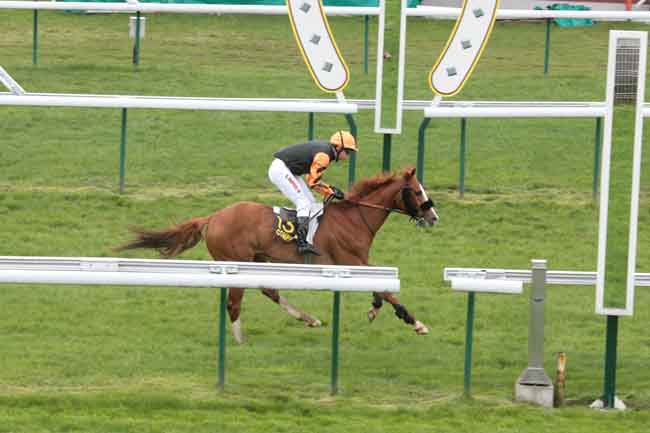 Arrivée quinté pmu PRIX KAP DREAM à COMPIEGNE
