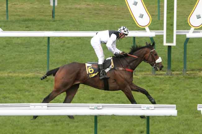 Arrivée quinté pmu PRIX GENERAL DE SAINT-DIDIER à COMPIEGNE