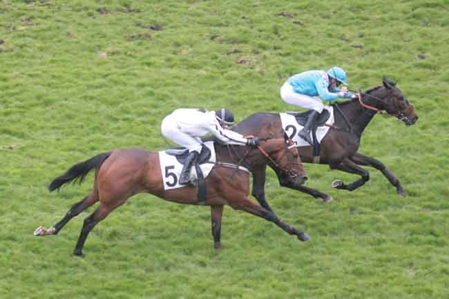 Arrivée quinté pmu PRIX DE PENTHIEVRE à AUTEUIL