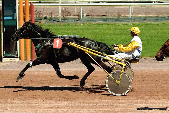 Arrivée quinté pmu PRIX DE LA GARONNE à BEAUMONT-DE-LOMAGNE