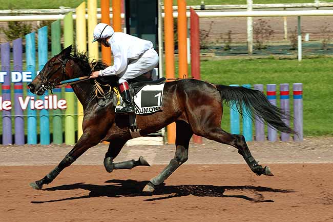 Arrivée quinté pmu PRIX DU LOT à BEAUMONT-DE-LOMAGNE