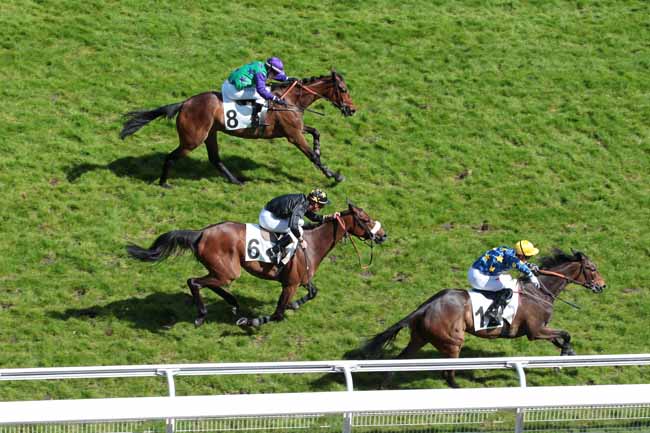Arrivée quinté pmu PRIX PANSA à AUTEUIL