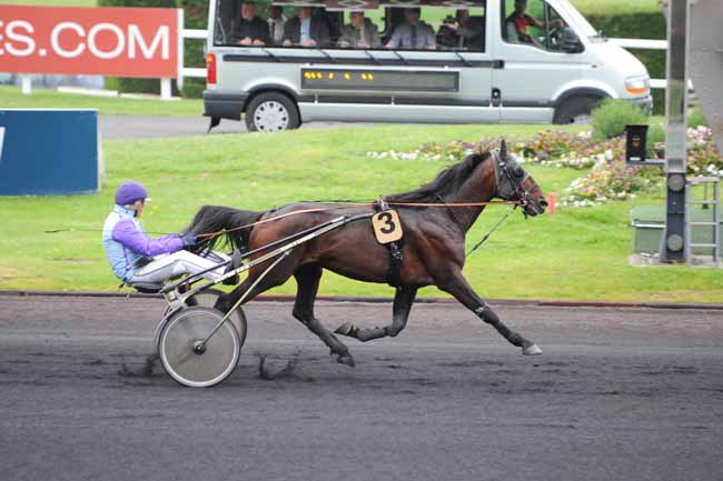 Arrivée quinté pmu PRIX REGULUS à PARIS-VINCENNES