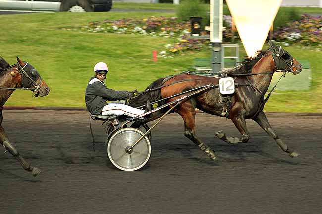 Arrivée quinté pmu PRIX ABUNDANTIA à PARIS-VINCENNES