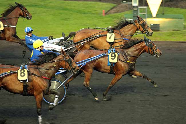Arrivée quinté pmu PRIX HERACLITE à PARIS-VINCENNES