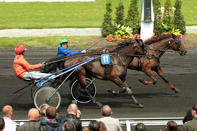 Arrivée quinté pmu PRIX HENRI SION à LE CROISE-LAROCHE