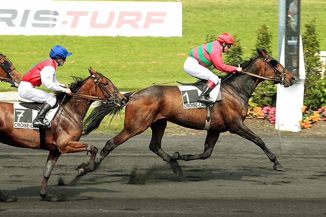 Arrivée quinté pmu PRIX WWW.LEPRESTIGEPALACE.COM à LE CROISE-LAROCHE
