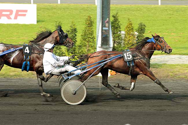 Arrivée quinté pmu PRIX EQWOS.FR / UPECT à LE CROISE-LAROCHE
