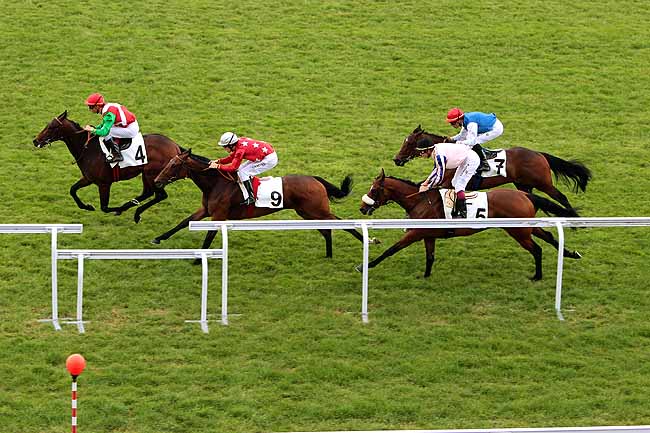 Arrivée quinté pmu PRIX HUNYADE à MAISONS-LAFFITTE