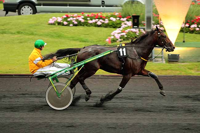 Arrivée quinté pmu PRIX CAECILIA à PARIS-VINCENNES