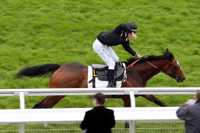 Arrivée quinté pmu PRIX AGUADO à AUTEUIL