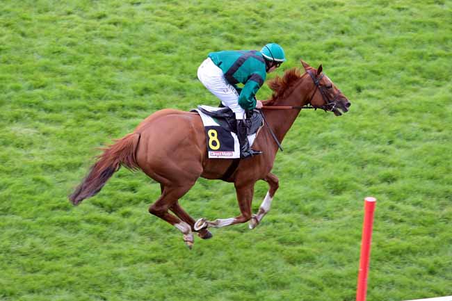 Arrivée quinté pmu PRIX HARDATIT - PRIX DIRECT MATIN à AUTEUIL