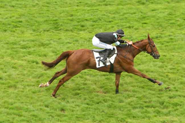 Arrivée quinté pmu PRIX GACKO à AUTEUIL