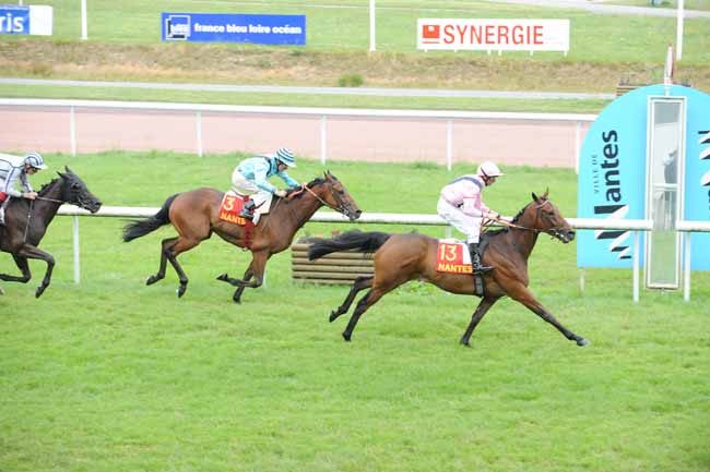 Arrivée quinté pmu GRAND PRIX SYNERGIE à NANTES