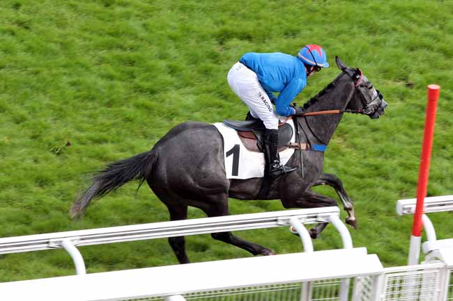 Arrivée quinté pmu PRIX BELLE-ISLE à AUTEUIL