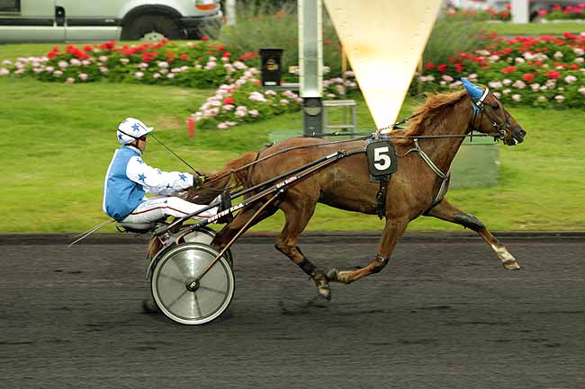 Arrivée quinté pmu PRIX EURYKLEIA à PARIS-VINCENNES