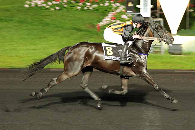 Arrivée quinté pmu PRIX SITA à PARIS-VINCENNES
